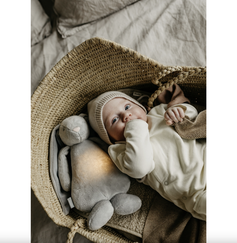 The Little Prince