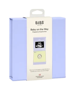 Bibs Տուփ Baby on the Way